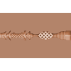 img_107374_829d69c46e4f00eb14a6a5f6355f4794_1.png FLESHLIGHT GIRLS - AUTUMN FALLS CREAM TEXTURE VAGINA