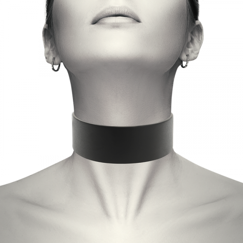 img_109841_8b063bb537209e9400651c6566cd38a4_1.png COQUETTE CHIC DESIRE - CHOKER CUERO VEGANO