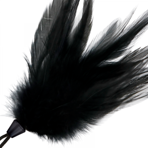img_111285_8eef021d35f4a87a3b976c913fa49961_1.png DARKNESS - PLUMA ESTIMULADORA NEGRO 17 CM