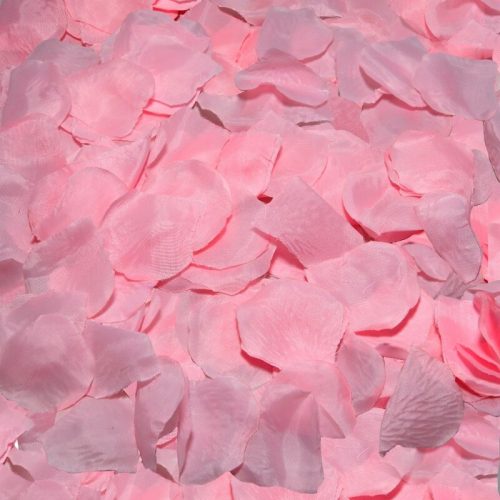 img_114422_7024f5c3c2c625561cdac9b24ee63f37_1.jpg DIABLO PICANTE - 100 PÉTALOS ROSA