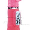 img_11714_8387d8b7a45220fc0e86e38521e8b989_1.jpg BAILE - CUTE PASSION BUNNY RAMPANTE 10F 27 CM