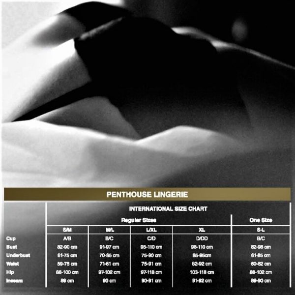 img_123248_09e062580ff6cbf2c4e4858f422a108c_1.jpg PENTHOUSE - CATCH ME PANTIES BLANCO L/XL