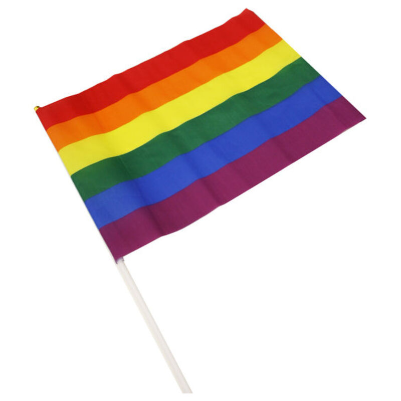 img_124079_6b5ffdfad90f2480484d08a4d4d98653_1.jpg PRIDE - BANDERIN GRANDE BANDERA LGBT