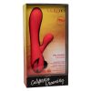 img_127382_415bb0a733ebd5b296a2d66a246f1f27_1.jpg CALEXOTICS - PALISADES PASSION RED