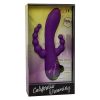 img_127390_3d84db317f58a03c32f544e2f0c7ed35_1.jpg CALEXOTICS - LONG BEACH BOOTYLICIOUS PURPLE