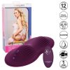 img_133795_800eedbb1f39f2781678874a64958aba_1.jpg CALEXOTICS - REMOTE CONTROL DUAL RIDER