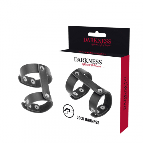 img_142915_eb5c231adcb53662287f0765bc229618_1.png DARKNESS - ANILLO PENE Y TESTÍCULOS AJUSTABLE LEATHER