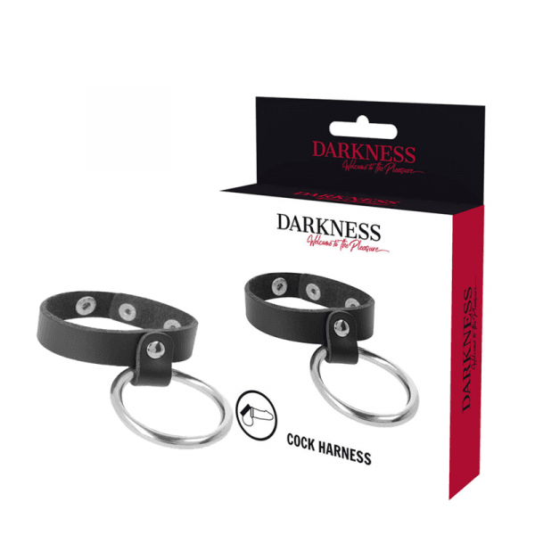 img_142919_9acd62a8ecf54dc69baaf015440df1ba_1.png DARKNESS - ANILLO DE METAL PARA EL PENE Y TESTÍCULOS
