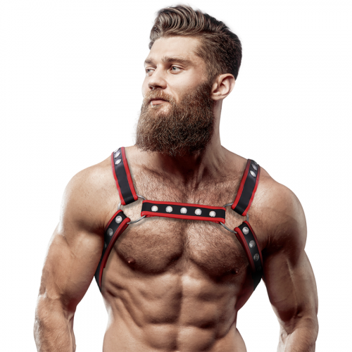 img_149673_6465979eb61937a89d6e3f44ac850ea6_1.png FETISH SUBMISSIVE ATTITUDE - ARNÉS BULLDOG ECOPIEL PECHO HOMBRE NEGRO/ROJO
