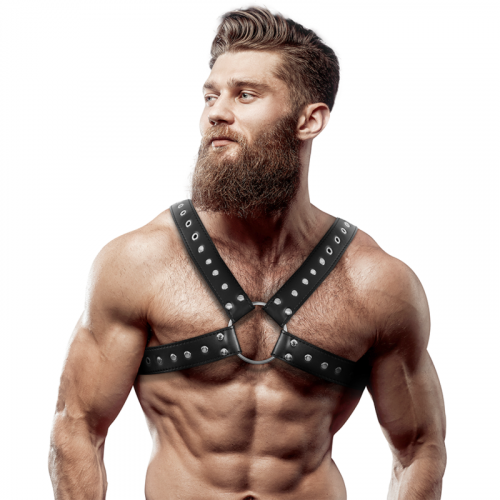 img_149679_471a40b5c5177889f596498d24c89a78_1.png FETISH SUBMISSIVE ATTITUDE - ARNÉS ECOPIEL PECHO CRUZADO CON TACHUELAS HOMBRE
