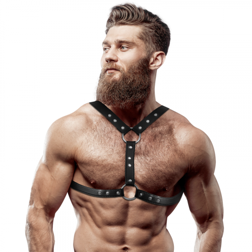 img_149687_193438d53d6f2ad5ad1a2294263dc8e7_1.png FETISH SUBMISSIVE ATTITUDE - ARNÉS ECOPIEL PECHO CON DOBLE SUJECIÓN Y TACHUELAS HOMBRE
