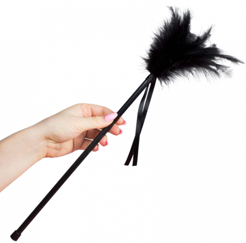 img_154830_ac53d2098cdc6daea246b21787faa6de_1.png SECRETPLAY - PLUMERO PLUMAS NEGRO 40 CM