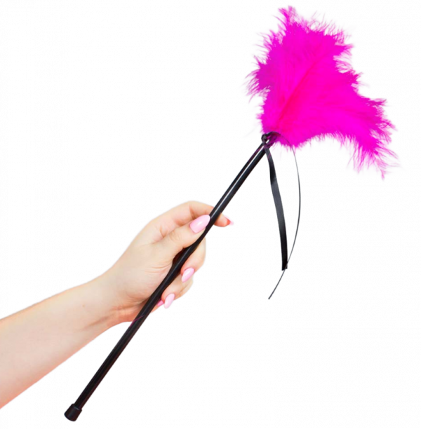 img_154831_40c6248805eaef3a35b9c74b890b4b13_1.png SECRETPLAY - PLUMERO PLUMAS ROSA 40 CM