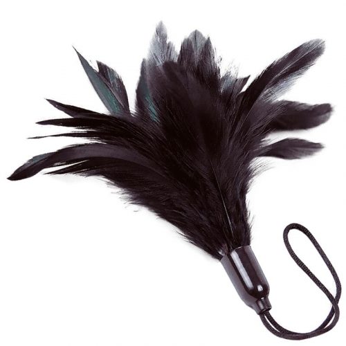 img_158528_9ebe814f9bc8eba90ec56c431576b289_1.jpg ADRIEN LASTIC - PRESTIGE PLUMERO NEGRO