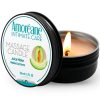 img_159504_0bcb223609c585817a4fe3e6d70de792_1.jpg AMOREANE - VELA DE MASAJE MELON 30 ML