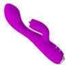 img_160220_9ea4db684c9ce615c9a3550b576b7529_1.jpg PRETTY LOVE - GLORIA VIBRADOR CONEJO RECARGABLE-IMPERMEABLE MORADO
