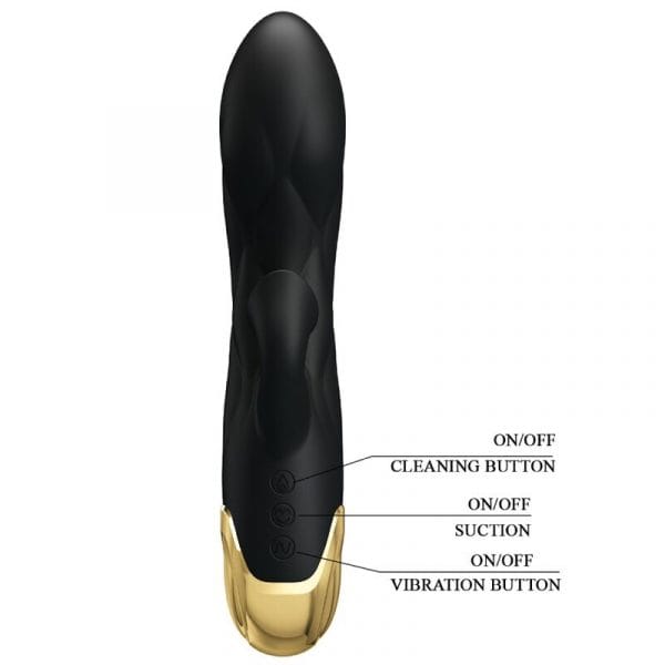 img_160454_018f258bd1baf0d4661b58b1a4e44a47_1.jpg PRETTY LOVE - VIBRADOR DE LUJO BAÑADO EN ORO RECARGABLE NEGRO