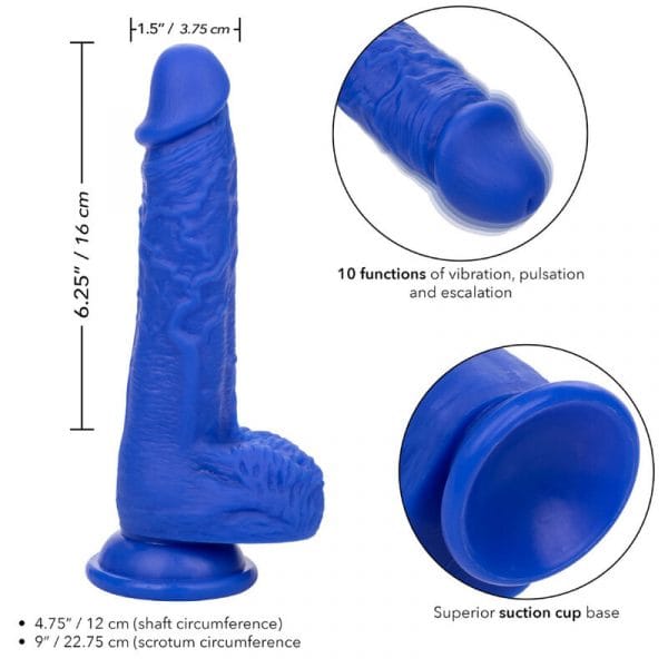 img_165826_83516d09e049ca19d4c028255d3c5176_1.jpg CALEXOTICS - ADMIRAL SAILOR DILDO REALÍSTICO VIBRADOR AZUL