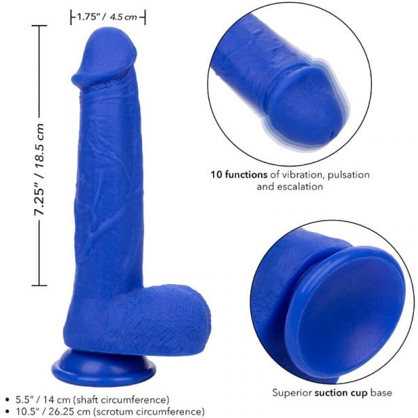img_165831_6a83b635bf148e667e4857d7014dfa3e_1.jpg CALEXOTICS - ADMIRAL CAPTAIN DILDO REALÍSTICO VIBRADOR AZUL