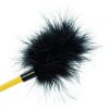 img_166157_4b8ec995acc7990df5d65dbf59c25fd3_1.jpg CALEXOTICS - BOUNDLESS CULTIVO DE PLUMAS