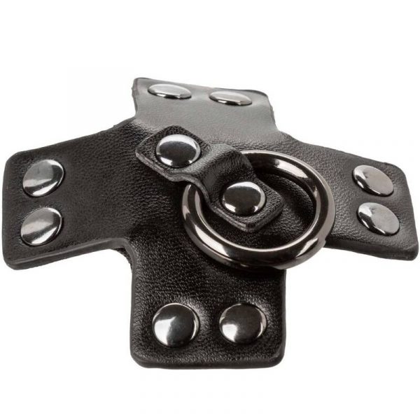 img_172994_e0373c323651a9393914c462436a023a_1.jpg CALEXOTICS - EUPHORIA PEZONERAS JUNTA TÓRICA NEGRO