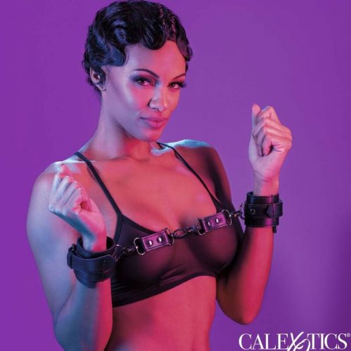 img_173187_4e7296397d28385ed8aa572e66c5c0bc_1.jpg CALEXOTICS - EUPHORIA ESPOSAS