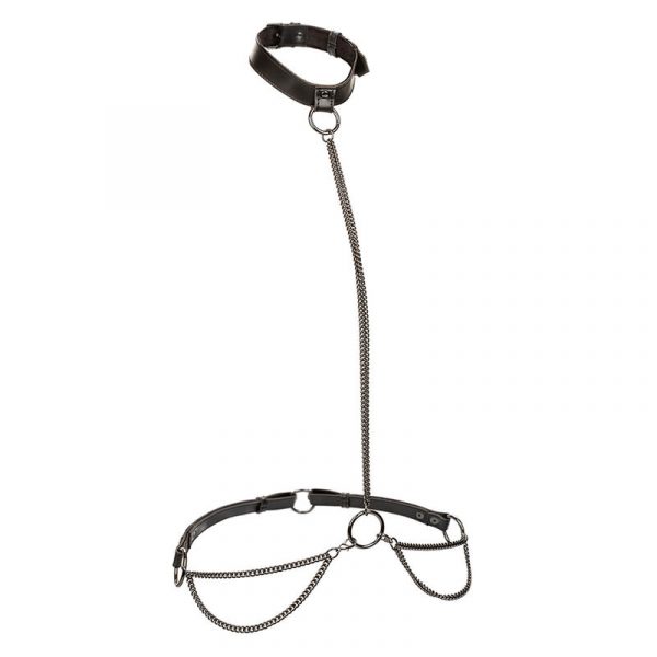 img_186240_5e9a2133b963e23746b4f5ee96796cde_1.jpg CALEXOTICS - EUPHORIA COLLAR HALTER Y CORREA CON CADENA