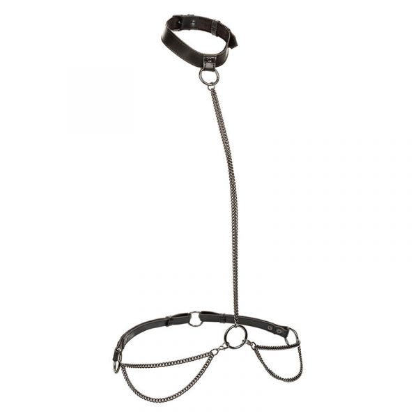 img_186250_b550dd29ee3f99fc8402f5e6b642e8c4_1.jpg CALEXOTICS - EUPHORIA COLLAR HALTER Y CORREA CON CADENA TALLA PLUS