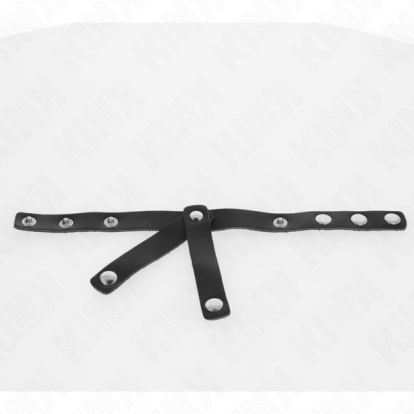 img_187397_7fc8e408be54930bd836b5ad5e4ecfeb_1.png KINK - DIVISOR DE BOLAS CUERO AJUSTABLE