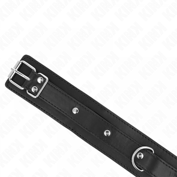 img_187561_4bcad6888292b5e6d71b0c9794d5ecb1_1.png KINK - COLLAR CON CORREA 65 CM 1 ANILLO AJUSTABLE 38-49 CM X 5 CM