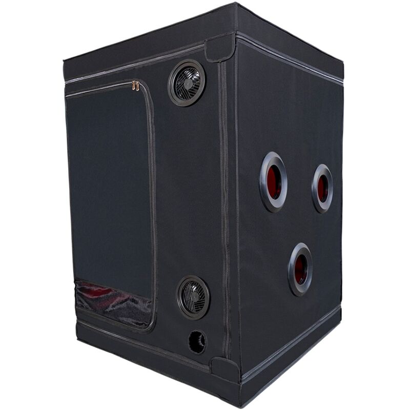 SECRET DOME - KINK CLUB CABINA SCANDALE NEGRO  ROJO