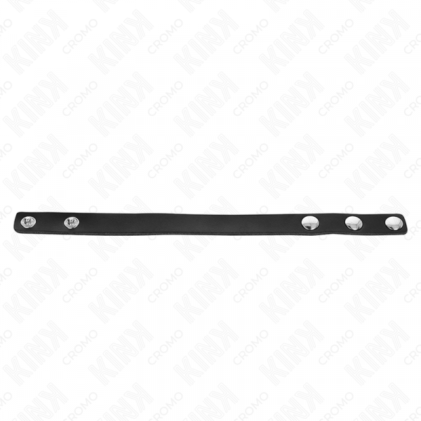 img_192871_9538881a0d8761b9c1a49180e408a7fb_1.png KINK - ANILLO PENE CUERO CON CIERRE A PRESIÓN 21.5 X 1.5 CM