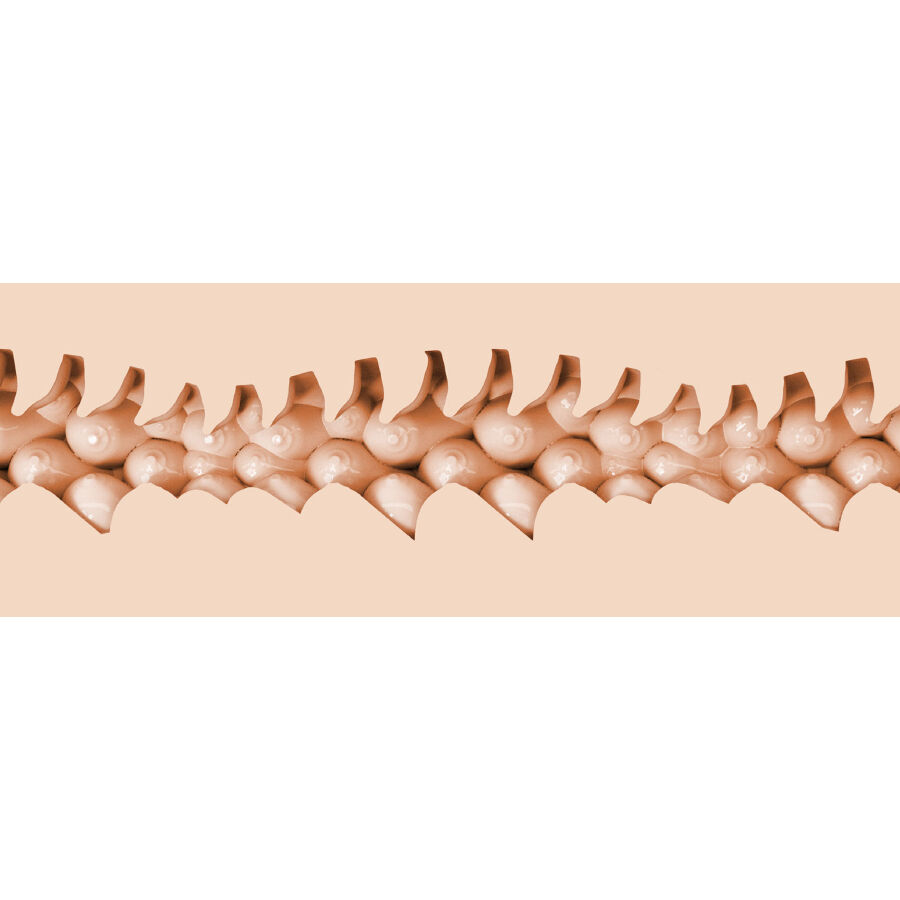 FLESHLIGHT FANTASY - EVIE AKASHIYA VAGINA