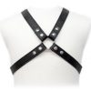 img_34175_a4ee8ee07ade83d92b55becb34111755_1.jpg LEATHER BODY - LASIC HARNESS IN GARMENT