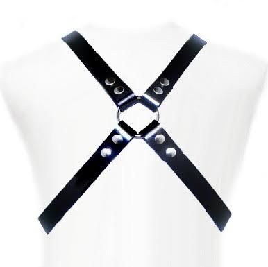 img_34176_9ac15a89cdf12c67f0b5c580f5c0f6af_1.jpg LEATHER BODY - BASIC HARNESS