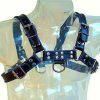 LEATHER BODY - ARNÉS CUERO AZUL Y NEGRO CHEST BULLDOG