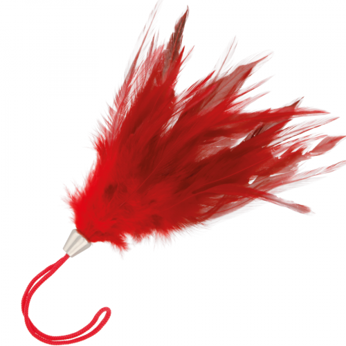 img_78834_5a3e189774bb13f42f359b9623b0c69a_1.png DARKNESS - PLUMA ESTIMULADORA ROJO 17CM