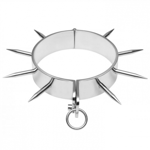 img_90231_917bea047bc8d05fb8553df4cf9331ca_1.png METAL HARD - COLLAR ESCLAVO BDSM CON PUNTAS