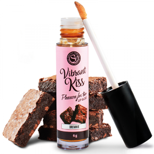 img_91331_8454b510d5e6ef3e811a1532ab9e6c6c_1.png SECRETPLAY - LIP GLOSS VIBRANT KISS BROWNIE