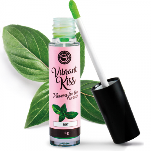 img_91349_d155fa58e839b9840b008231d20d7e47_1.png SECRETPLAY - LIP GLOSS VIBRANT KISS MENTA