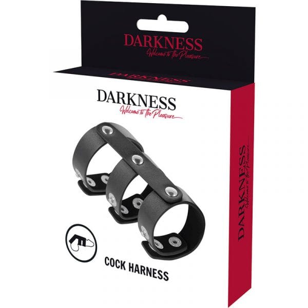 img_93896_7c1352bf555cb8c910170cf0545dad4b_1.jpg DARKNESS - ANILLO DOBLE PENE Y TESTÍCULOS AJUSTABLE LEATHER