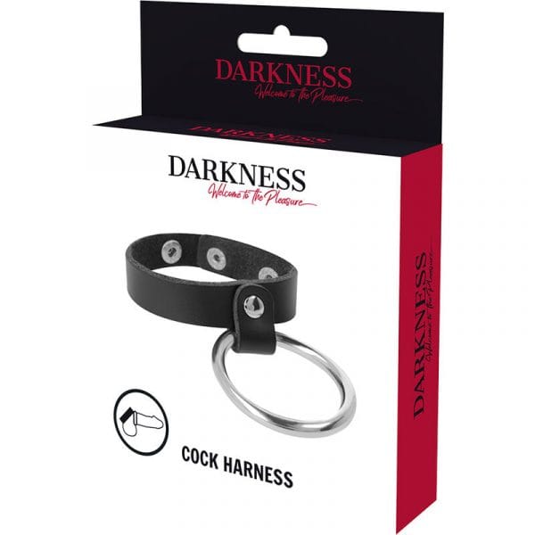 img_93900_1d0dfeb082508ef9ebfae32228ddc5b5_1.jpg DARKNESS - ANILLO DE METAL PARA EL PENE Y TESTÍCULOS