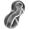 img_96419_f338f1b43e97c2ac3604325350caba4d_1.png JAMYJOB - EXTREME MASTURBADOR TENSEK 3 TRANSPARENTE