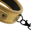 img_96580_cb369f5e004b6137dd3da9bcc449dee3_1.png FETISH SUBMISSIVE ORIGEN - COLLAR CON CADENA CON FORRO DE NEOPRENO