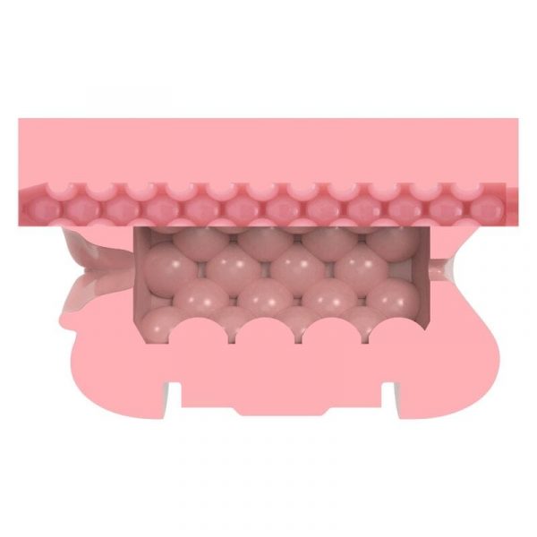 FLESHLIGHT - QUICKSHOT STAMINA TRAINING UNIT LADYBUTT